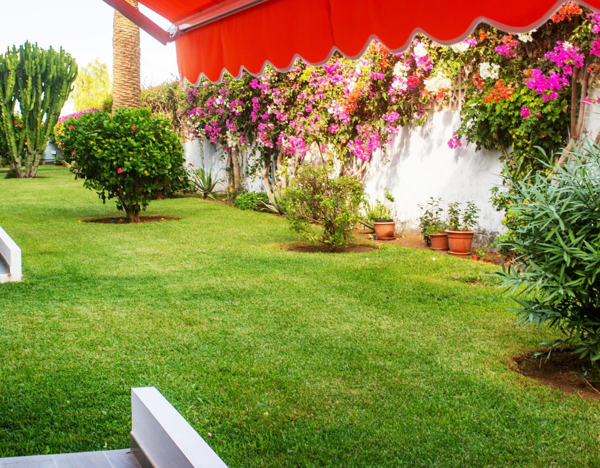 Casa Tranquila Appartement Puerto de la Cruz  Buitenkant foto
